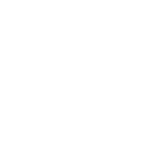 Second Life